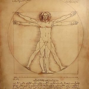 vitruvian man