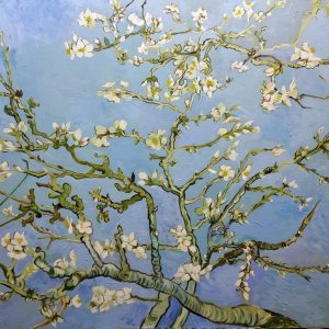 Almond Blossom